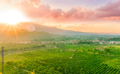 green beautiful valley with gardens and plantations and amazing mountains on background during sunset or sunrise © Yaroslav