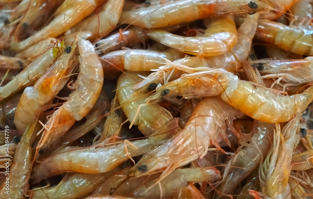 Raw fresh shrimps in a pile at a seafood market Raw fresh shrimps in a pile at a seafood market