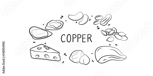 Copper-containing food. Groups of healthy products containing vitamins and minerals. Set of fruits  vegetables  meats  fish and dairy