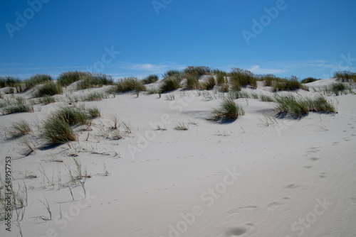 Dune landscape on the island of Amrum