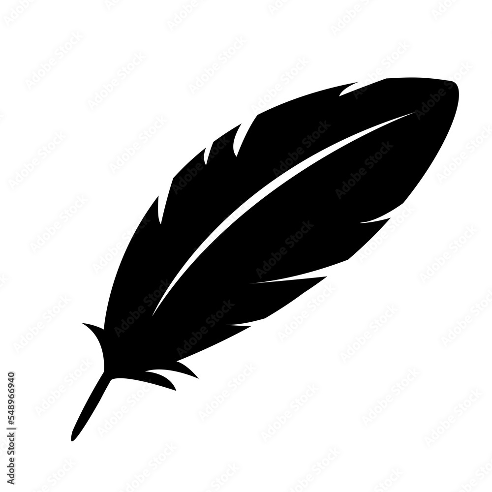Feather illustration Feather illustration