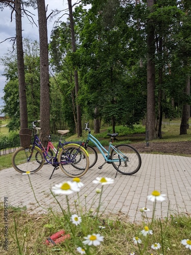 Family bicycles in the patk at summer time photo