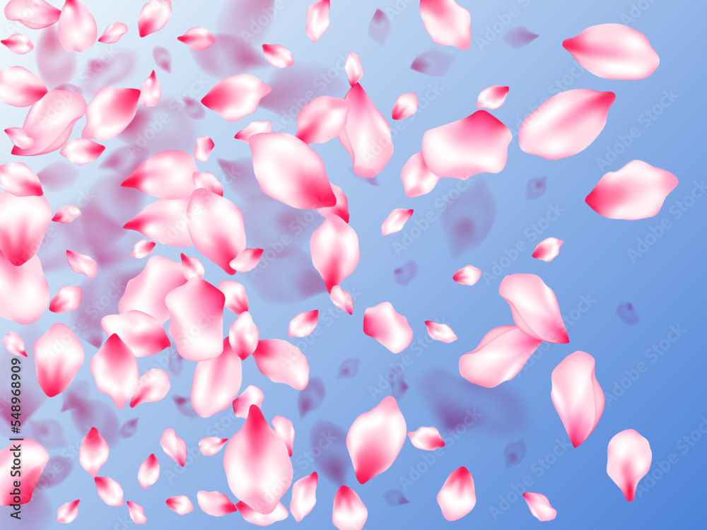 Pink cherry blossom petals isolated Pink cherry blossom petals isolated