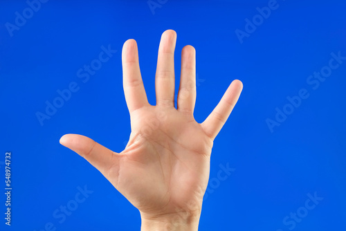 Female palm hand counting to five on a Chroma Key Studio Background. Close up. Woman Gesturing Count Isolated on Blue Screen. Numbers calculating. Hand counting to 5 with fingers