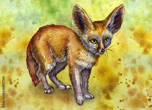 Sand fox - Fenech. Beautiful animal with big ears. Watercolor drawing.