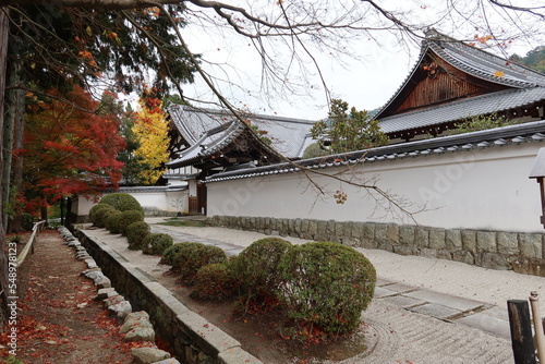 Autumn in Kyoto : autumn leaves and white walls in the precincts of Nanzen-ji Temple in Kyoto City in Japan  京都の秋：日本の京都市の南禅寺境内にある白壁と紅葉