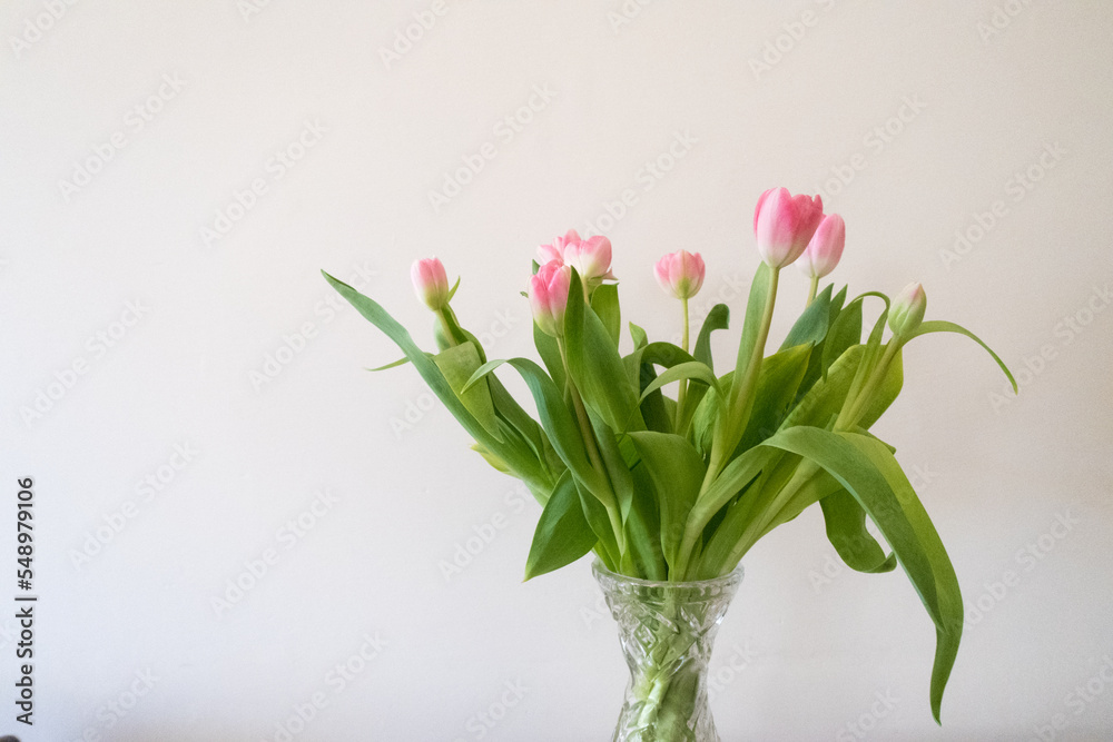 Pink Tulips in Vase