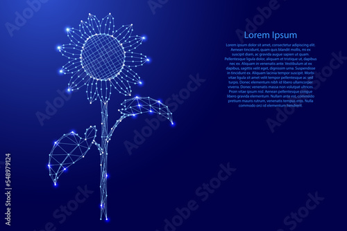 Sunflower, seed food oil, concept of food help global international refugees, from futuristic polygonal blue lines and glowing stars for banner, poster, greeting card. Low poly concept.