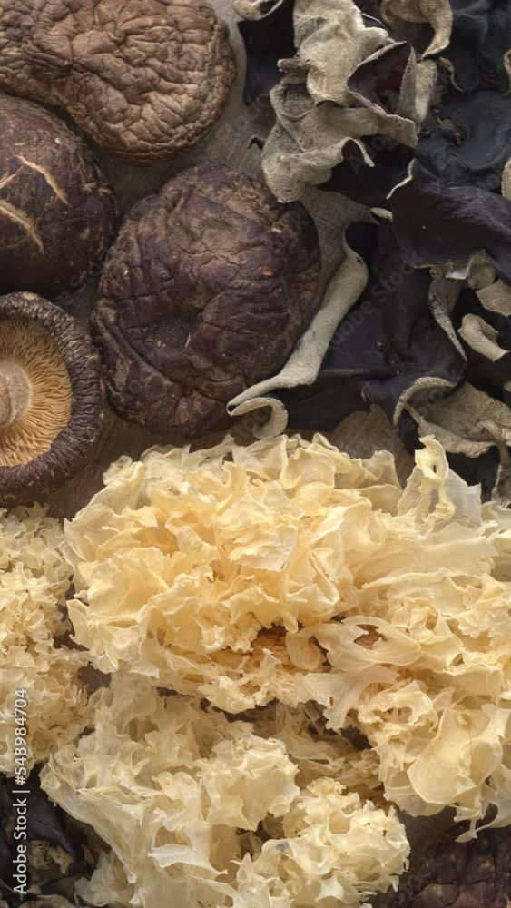 Assortment of dried mushrooms. Different species of Asian dry fungi. Table spin. Vertical video. Assortment of dried mushrooms. Different species of Asian dry fungi. Table spin. Vertical video.