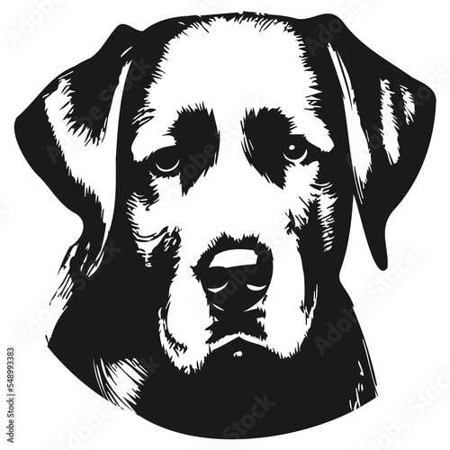 labrador dog images hand drawn vector black and white