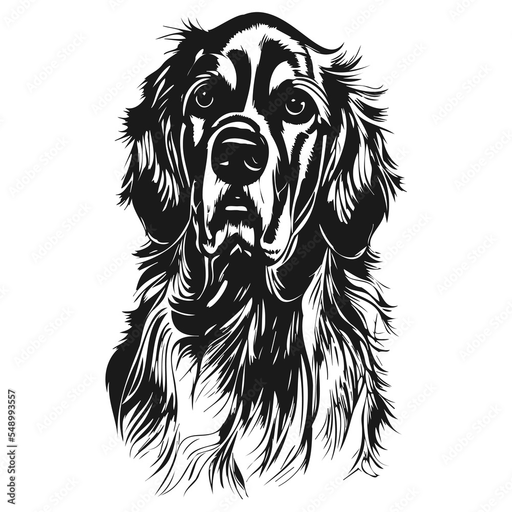 golden retriever images hand drawn vector black and white