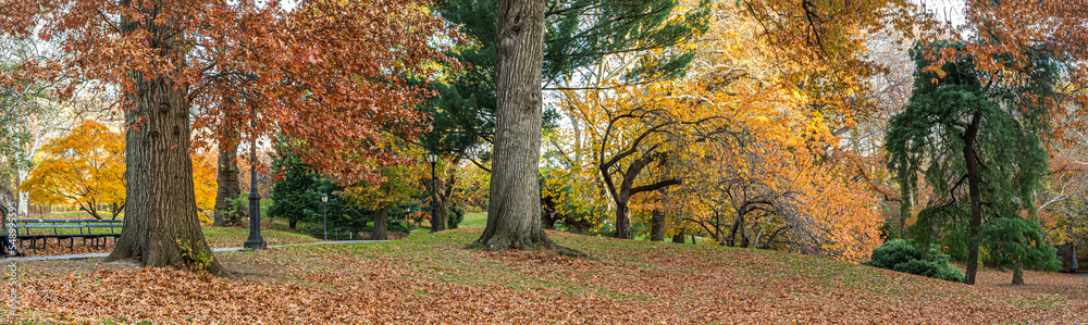 Central Park in late autumn, NYC Central Park in late autumn, NYC
