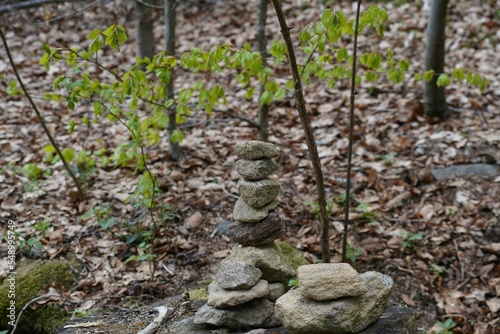 Canvas Print Zen stones in the forest.