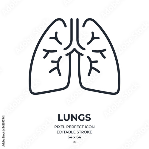 Lungs organ anatomy editable stroke outline icon isolated on white background flat vector illustration. Pixel perfect. 64 x 64. photo