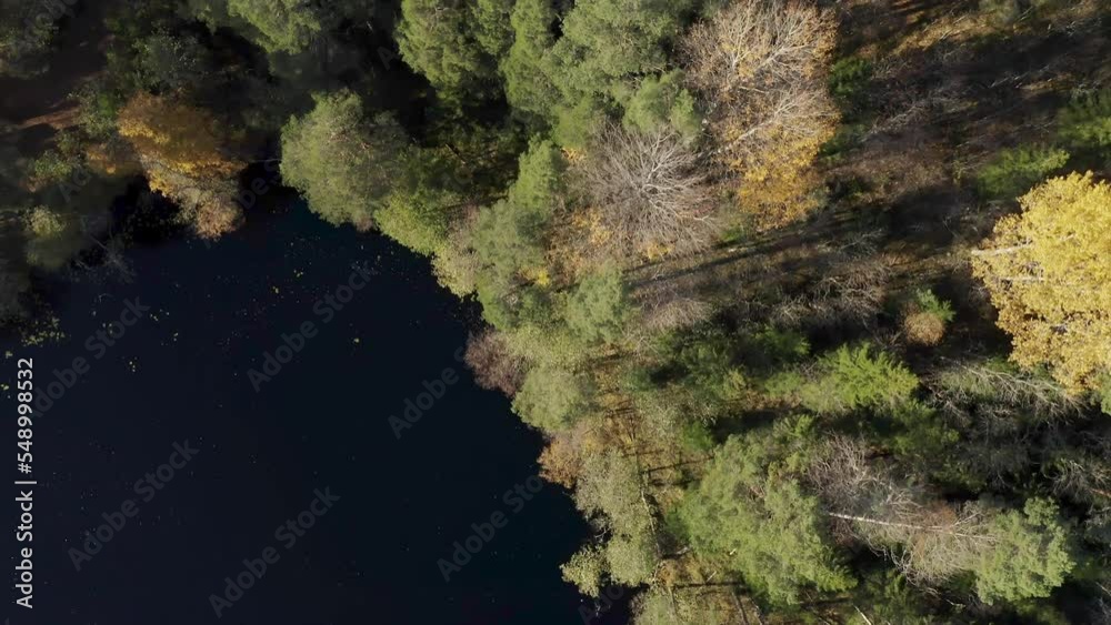 cinematic autumn view of the Ladoga skerries from a quadrocopter cinematic autumn view of the Ladoga skerries from a quadrocopter