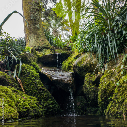 waterfall in the forest