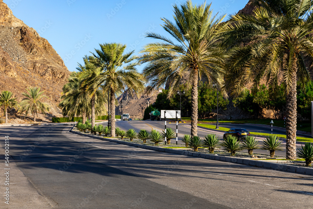 Road with palm trees. Traditional Omani architecture. Old Town of Muscat, Oman. Arabian Peninsula. 