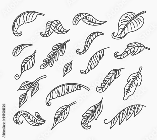 Beautiful set of vector thin line style decorative leaves