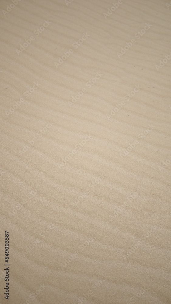 Obraz premium walking beach