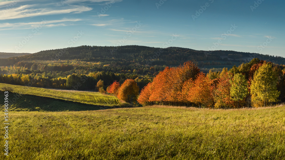 Fototapeta premium Polish golden autumn at Gorzanowice, Lower Silesia, Poland