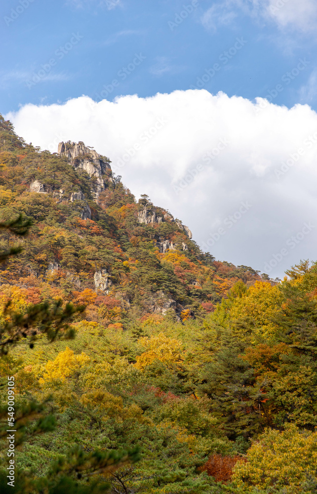 autumn landscape in the mountains