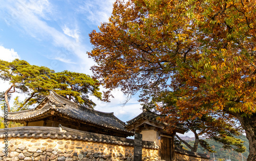 korea garden in autumn © 득주 장