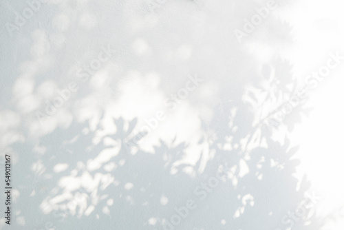 Tree shadow and light of leaf branch background. Nature leaves tropical jungle tree branch dark shadows and light from sunlight on wall texture for background wallpaper design, shadow overlay effect