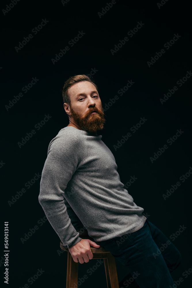 Bearded man in grey long sleeve posing near chair isolated on black.