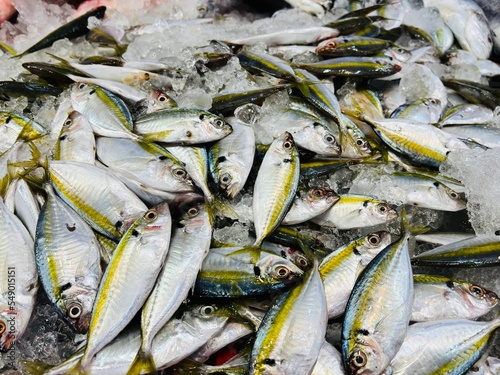 Wallpaper Mural fresh fish on ice Torontodigital.ca