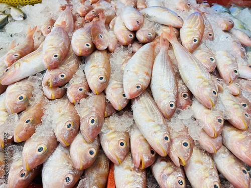 Wallpaper Mural fresh fish on the market Torontodigital.ca