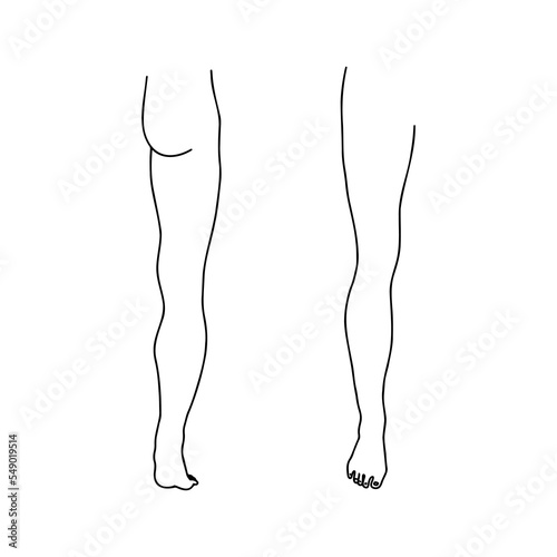 Human leg from front and back. Outline, anatomical, hand drawn illustration.