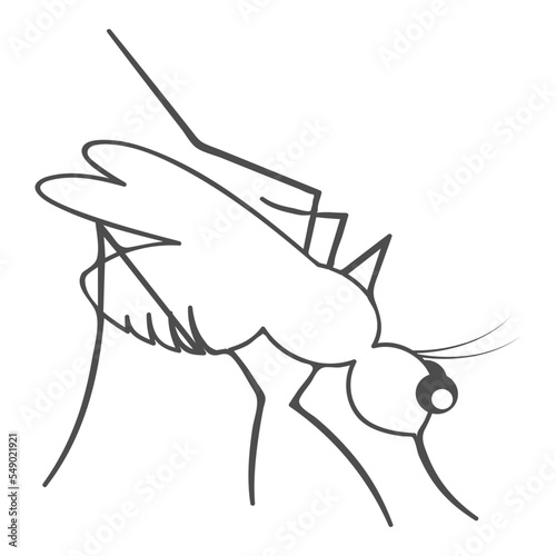 mosquito icon vector