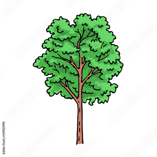 Tree with green foliage. Template element for design and decoration. Nature and forest. Cartoon vector illustration isolated on white background. Hand drawn outline sketch