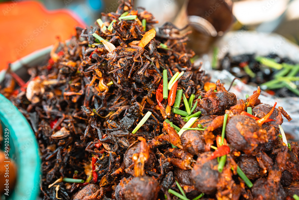 Fried Frogs Snack, Skuon Cambodia Fried Frogs Snack, Skuon Cambodia