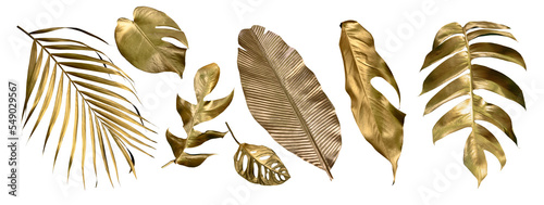 Golden tropical leaf PNG on transparent background Abstract monstera leaf decoration design, PNG
