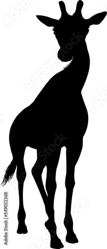 Giraffe Animal Silhouette