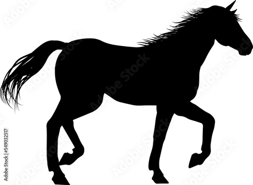 Horse Silhouette Animal