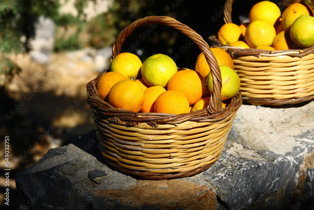 Oranges in a basket.