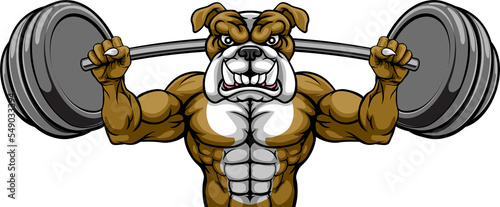 Bulldog Mascot Weight Lifting Body Builder