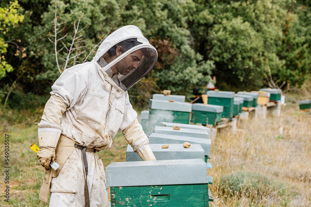 Man working on apiary in daytime
