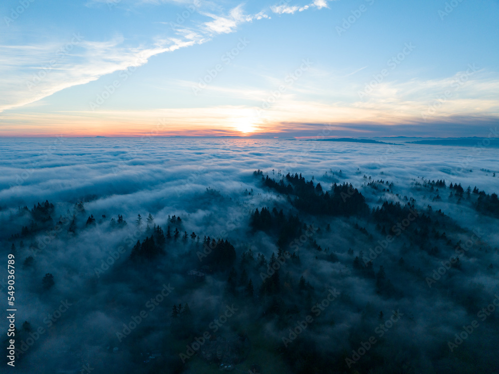 As dusk begins to fall, dense fog rolls over cedar and fir trees covering the many hills surrounding Portland, Oregon. Temperate forests thrive in the Pacific Northwest due to the moist climate.