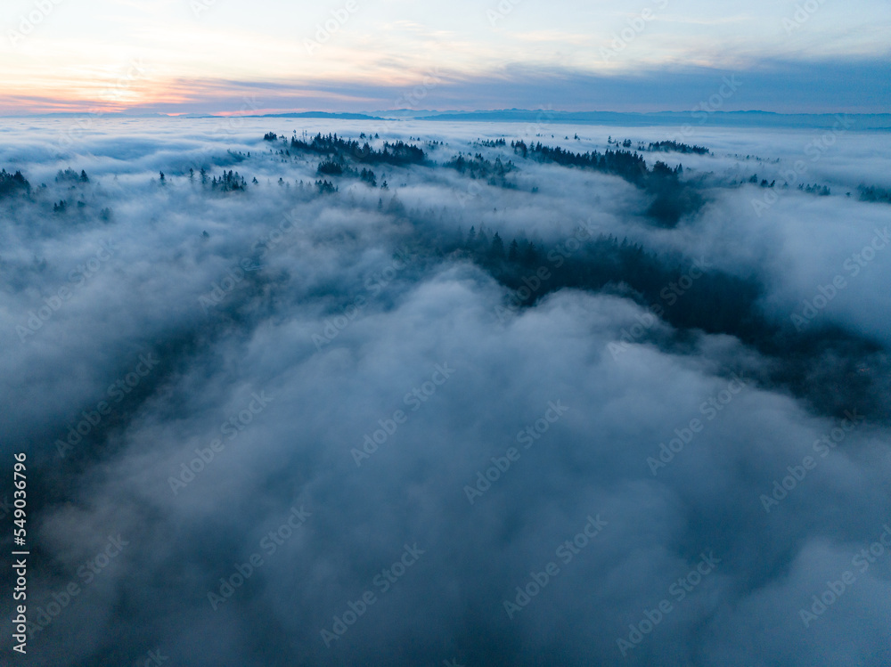 As dusk begins to fall, dense fog rolls over cedar and fir trees covering the many hills surrounding Portland, Oregon. Temperate forests thrive in the Pacific Northwest due to the moist climate.