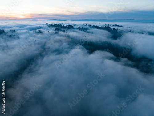 As dusk begins to fall  dense fog rolls over cedar and fir trees covering the many hills surrounding Portland  Oregon. Temperate forests thrive in the Pacific Northwest due to the moist climate.