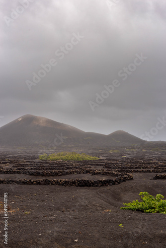 Lanzarote