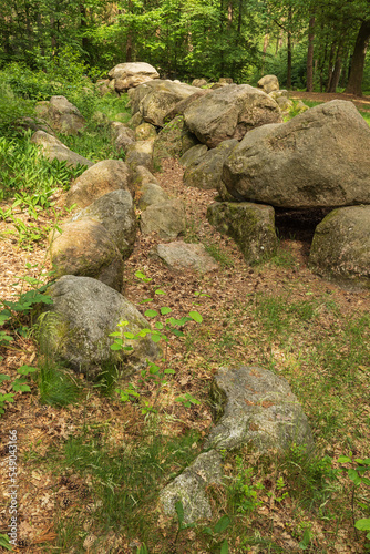 Standing next to the Megalithic Tomb at Kunkenvenne at Dolmen site 12 in a large forest north east of Thuine