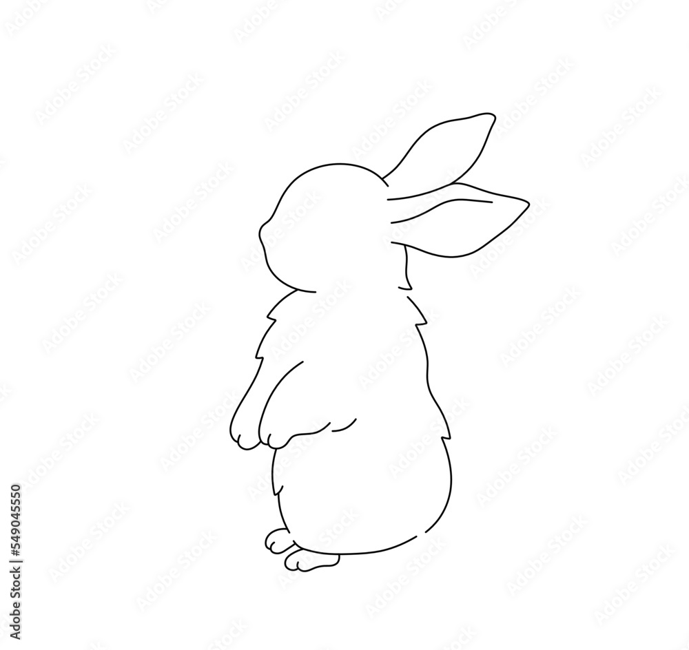 Rabbit Drawing - How To Draw A Rabbit Step By Step