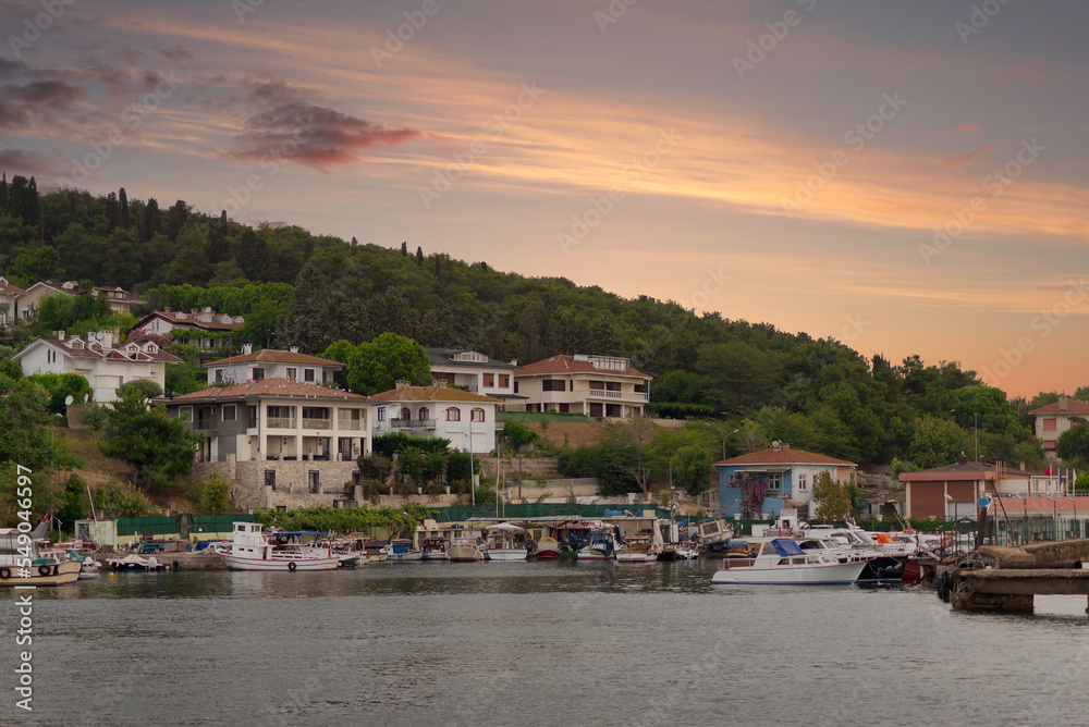 View of the mountains of Kinaliada island from Marmara Sea, with traditional summer houses and boats, Istanbul, Turkey