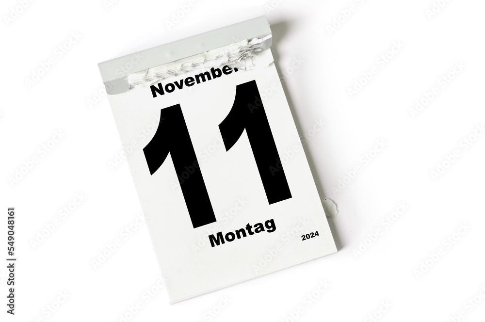 11 November 2024 11 November 2024