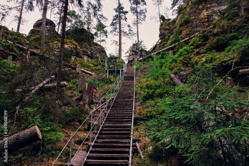 The valley with rock trail in deep forest near Kyjov, Bohemian Switzerland, Czech republic