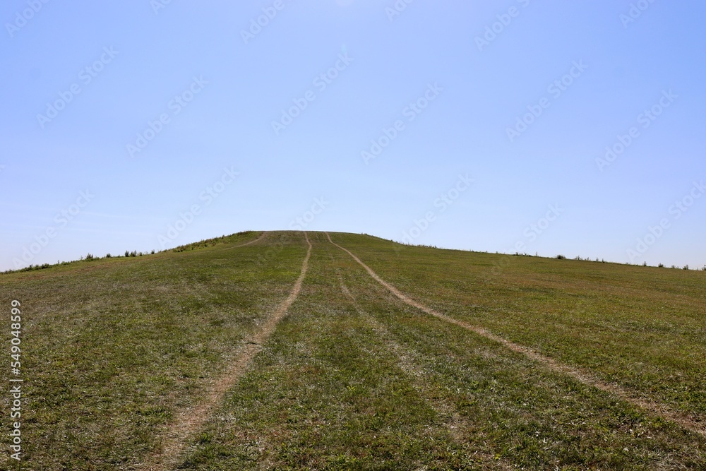 The green grass hill with the clear blue sky background.